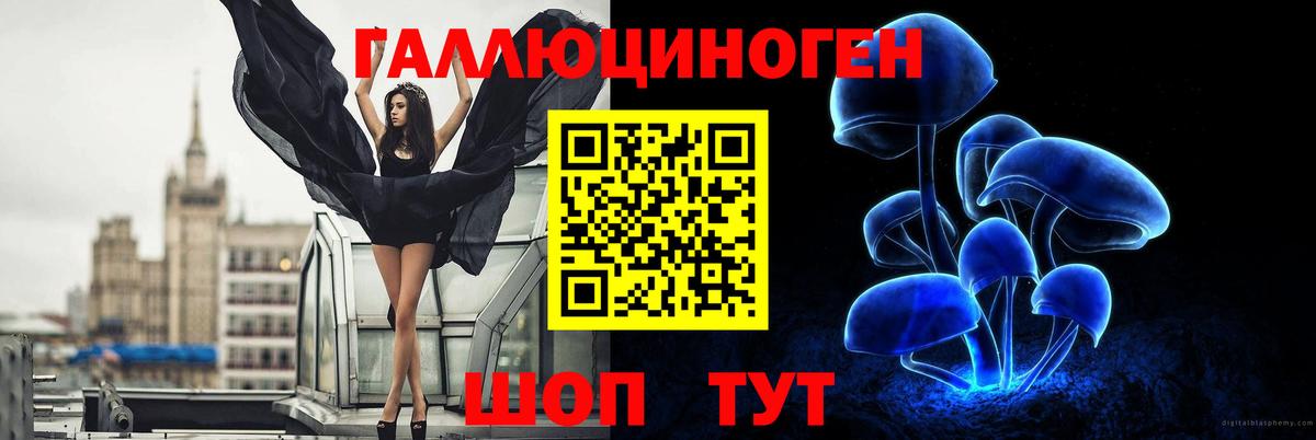 Советский  Псилоцибиновые грибы GOLDEN TEACHER  Вход с VPN 